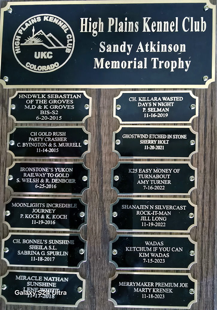 The Sandy Atkinson Memorial Trophy